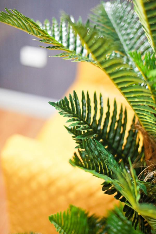 קובנטרי B101 Boutique City Loft מראה חיצוני תמונה